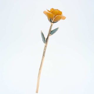 Yellow open bloom preserved rose with 24K gold accents, full side view