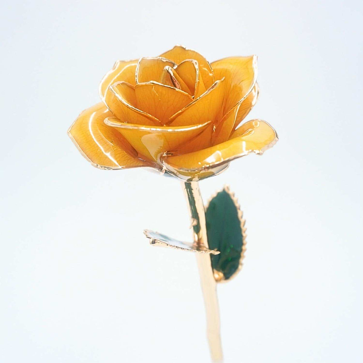 Yellow open bloom preserved rose with 24K gold accents, half-length view