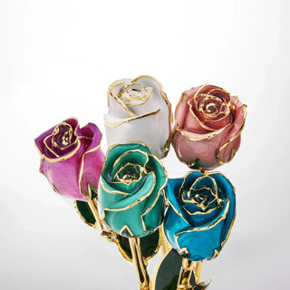 Rose Naturelle Trempée dans de l'Or 24K 11,5" - Boîte Cadeau Couleur Terre de Sienne