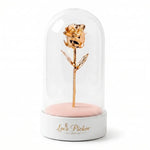 Gold rose inside a glass dome on a white background