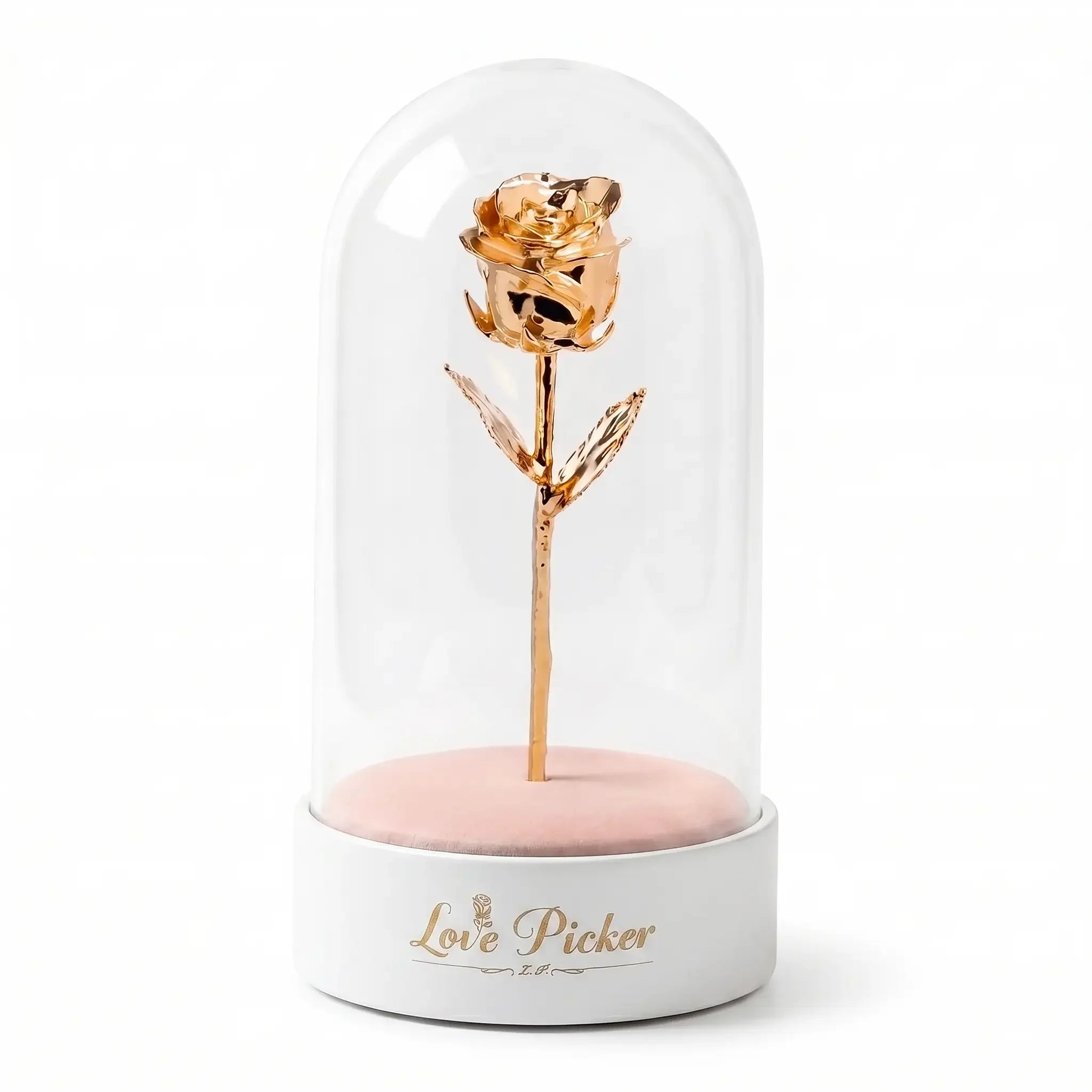 Gold rose inside a glass dome on a white background