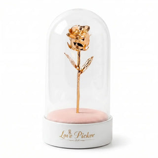 Gold rose inside a glass dome on a white background