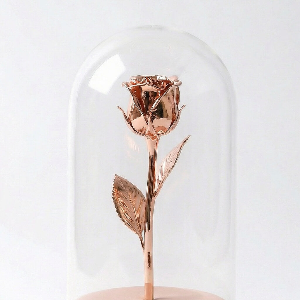 Rose gold rose inside a glass dome on a white background