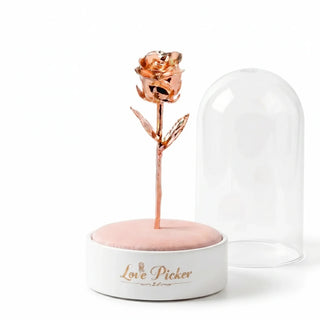 Signature Clear 7” Rose Dome