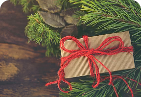 Christmas gift