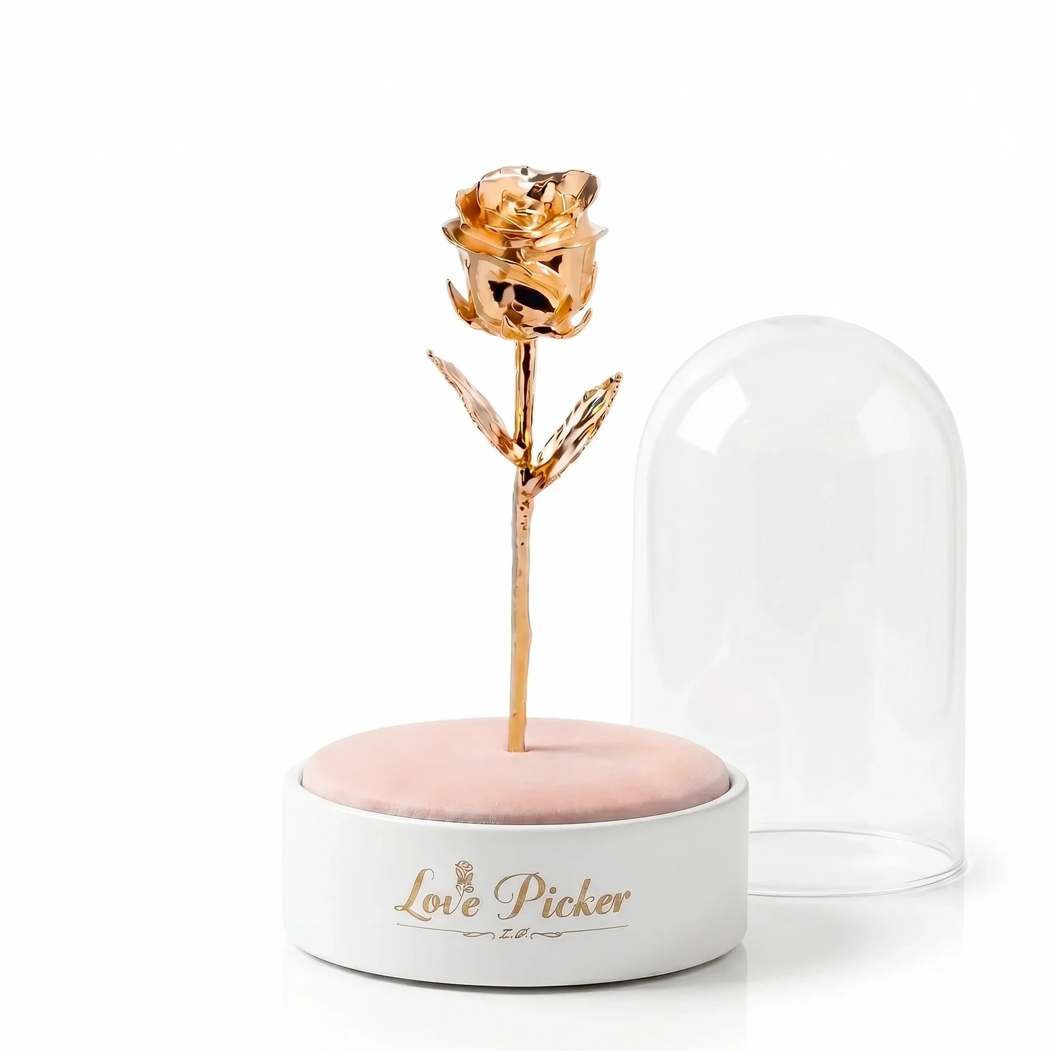 Gold rose inside a glass dome on a white background