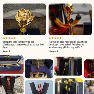 24K Gold Dipped Natural Rose 7" - Midnight Blue Real Leather Gift Box