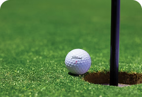 Golf tournament award or trophy alternative 