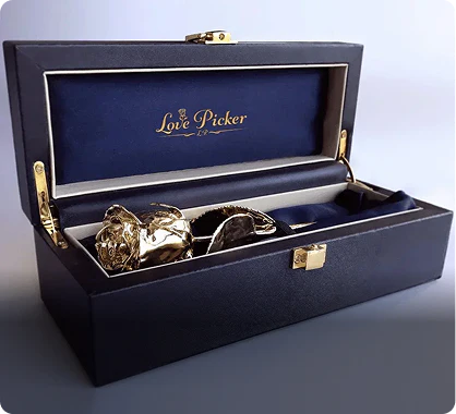 Gold jewelry pieces in a black 'Love Picker' box on a gray background