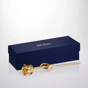 24K gold plated rose with navy blue gift box, luxury preserved rose gift