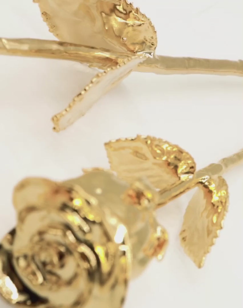 GOLD DIPPED ROSE DESKTOP VIDEO FRONT