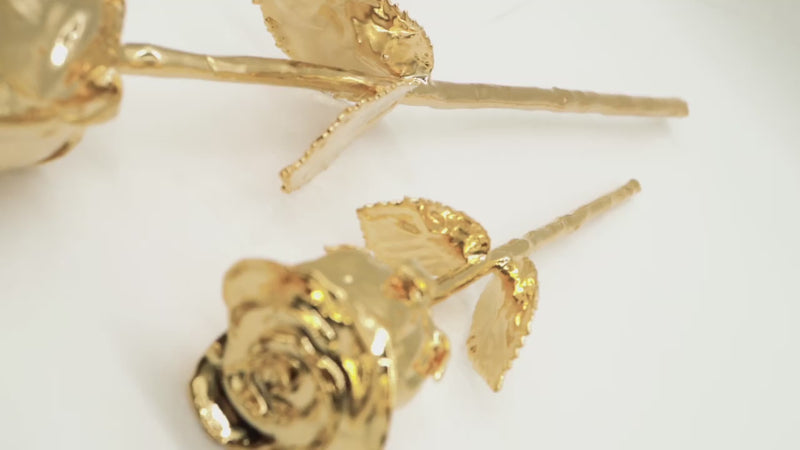 GOLD DIPPED ROSE DESKTOP VIDEO FRONT