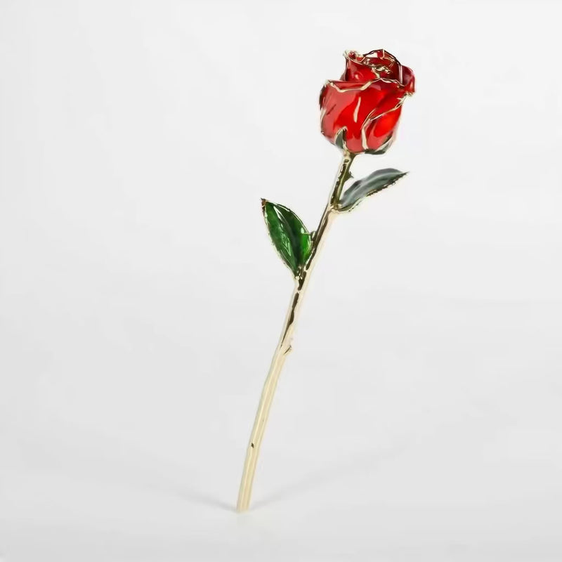 passionate red 24k closed bud rose video square