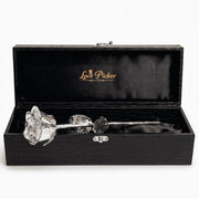 NIEUW Zilver Gedoopte Natuurlijke Roos 11,5" - Luxe Noir Cadeaubox - Echt Leder