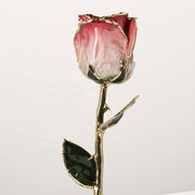 Red-and-white gradient 11.5-inch closed bud rose with 24K gold accents, studio view