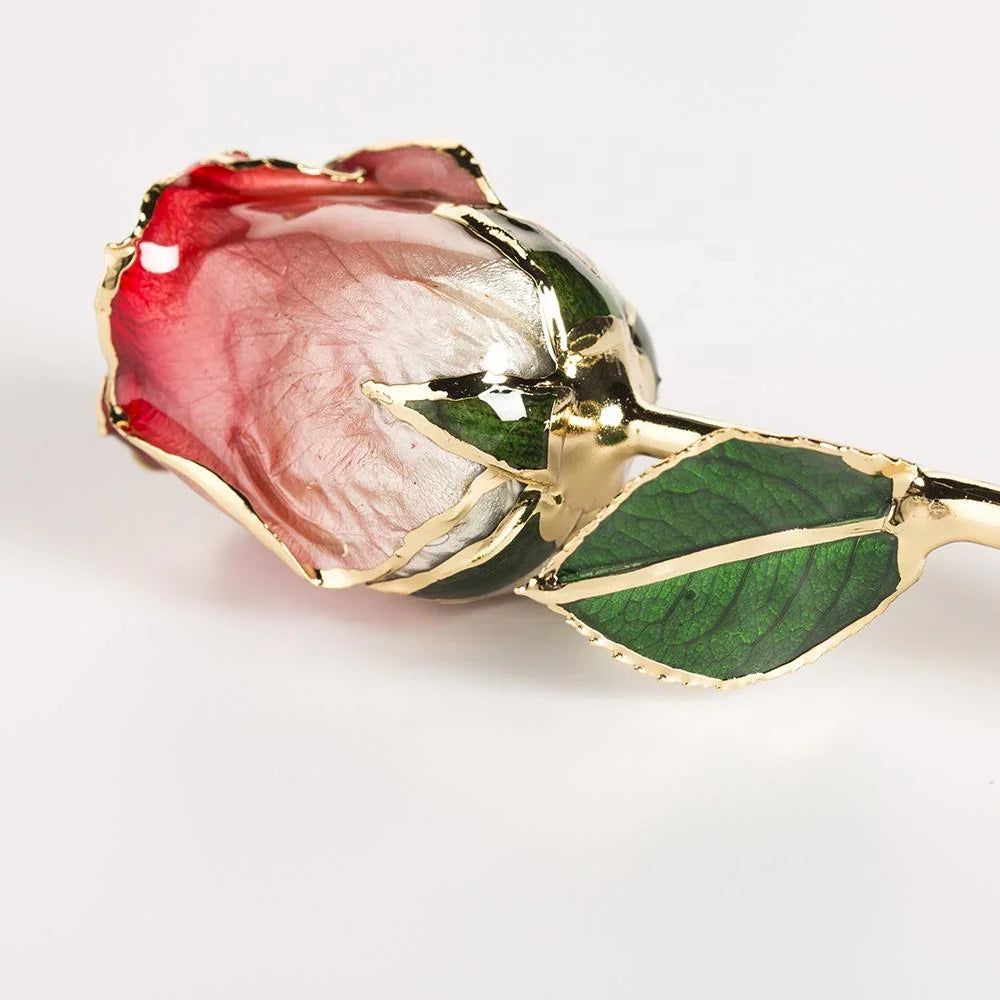 Red-and-white gradient 11.5-inch closed bud rose with 24K gold accents, studio view