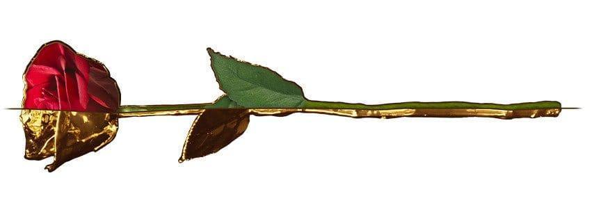 Lovepicker Gold Dipped Rose 24K Gold Dipped Natural Rose 11.5" - Umber Color Gift Box Gold Dipped Rose anniversary-birthday-wedding-gift Valentines-Day milestone-gifts luxury-custom-elegant