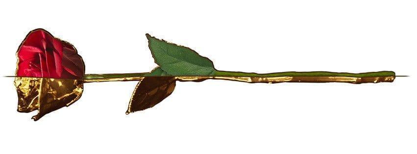 Lovepicker Gold Dipped Rose 24K Gold Dipped Rose 7" - Scarlet Color Gift Box Gold Dipped Rose anniversary-birthday-wedding-gift Valentines-Day milestone-gifts luxury-custom-elegant